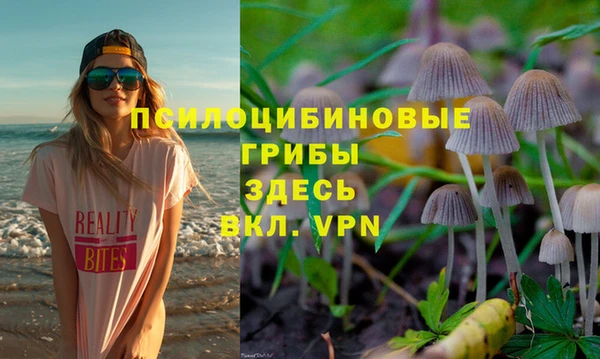 спиды Беломорск