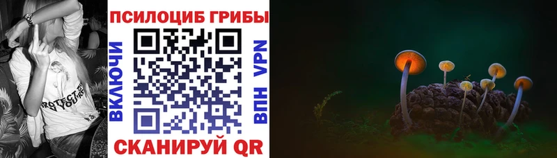 Псилоцибиновые грибы мухоморы  Буйнакск 